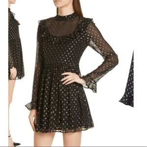 Robert Rodriguez Camille Fil Coupe Silk Blend Chiffon Dress Babydoll Sparkle 6